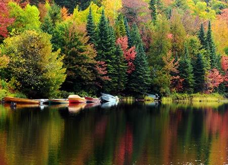 Canoes on a lake