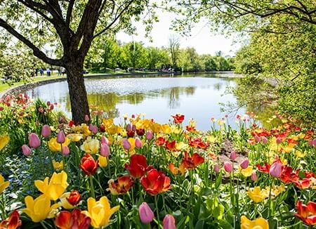 park in Ottawa