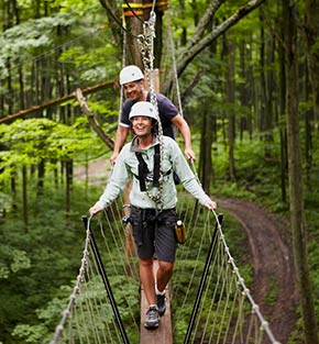 Treetop walkway