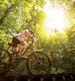 ontario lakes and parks holiday ontario lakes and parks holiday