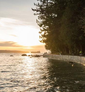 cow town to gold town holiday cow town to gold town holiday