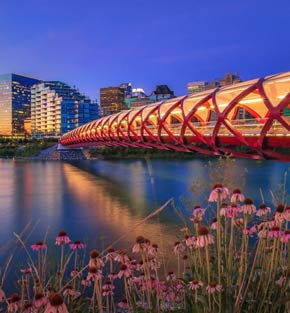 Peace bridge in Calgary