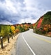 driving through algonquin park