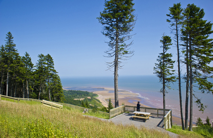 fundy coastal drive