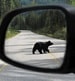 Traffic in Banff