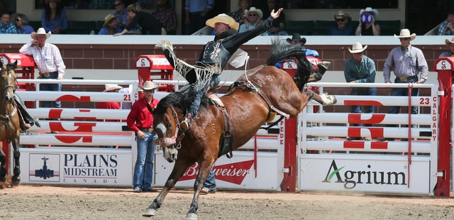 Bareback riding