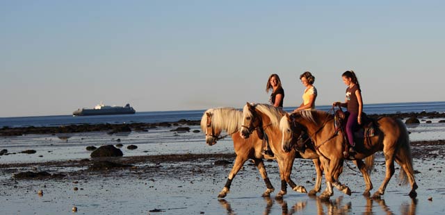 Horse riding