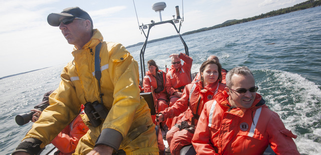 Zodiac whale watching tour