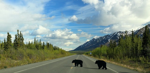 Kluane National Park