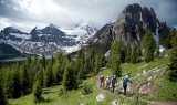 Hiking on a Banff holiday