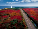 New Brunswick